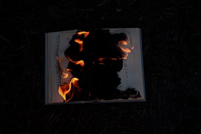 Burning book