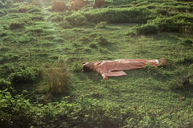 Dressed up fashion girl lying flat on grass
