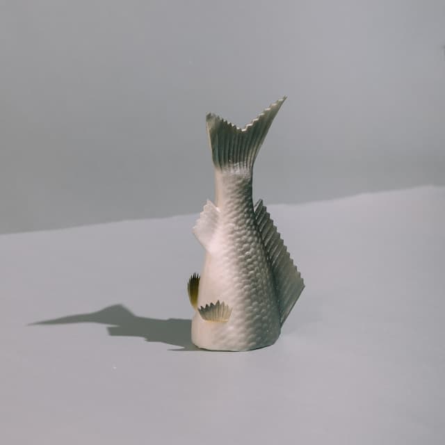 Fish hiding head - conceptual avoidance