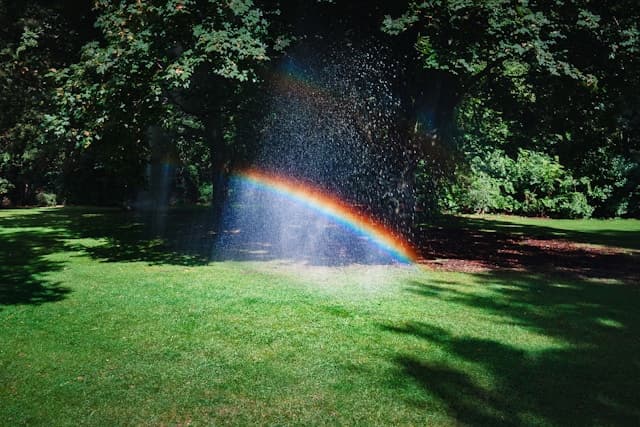 Mini rainbow above grass”